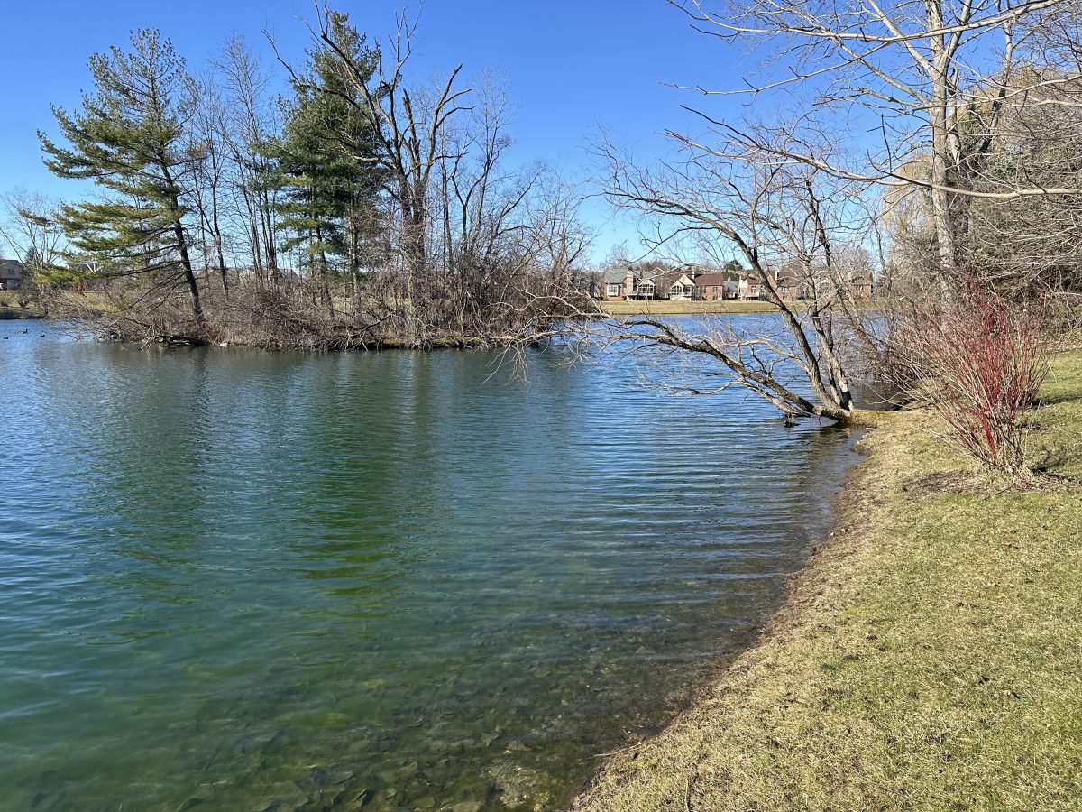 Photo Gallery – Friends of Twin Islands Pond